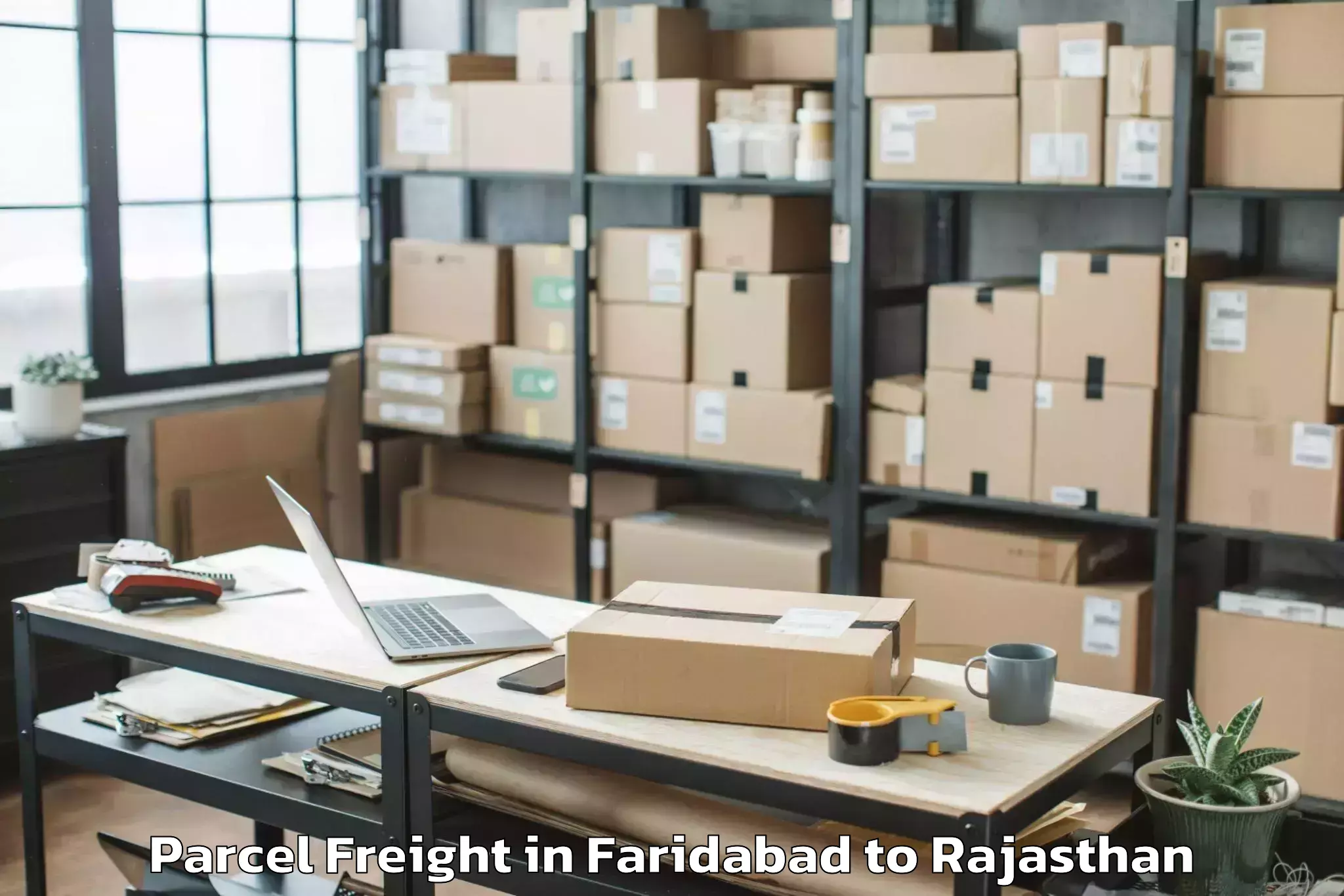 Top Faridabad to Shridhar University Pilani Parcel Freight Available